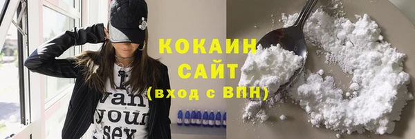 стафф Михайлов